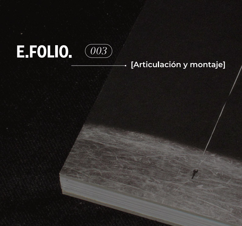 EFOLIO003